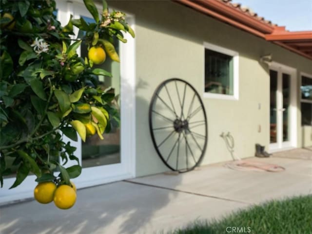 view of property exterior featuring a patio