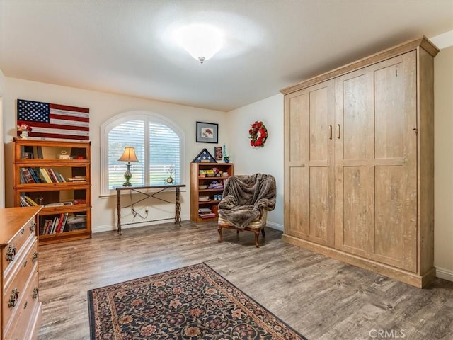 living area featuring wood-type flooring