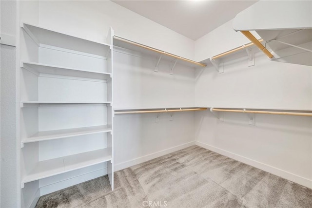 walk in closet with light colored carpet