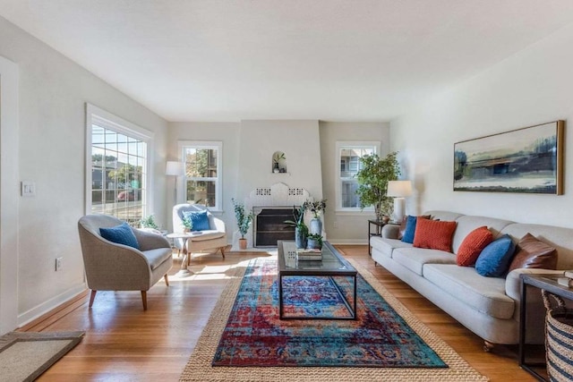 living room with a fireplace and light hardwood / wood-style flooring