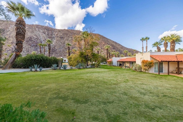 view of yard featuring a mountain view