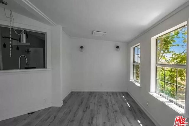 unfurnished room with sink, a healthy amount of sunlight, and hardwood / wood-style flooring