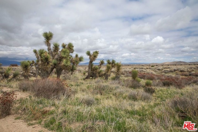 view of landscape featuring a rural view