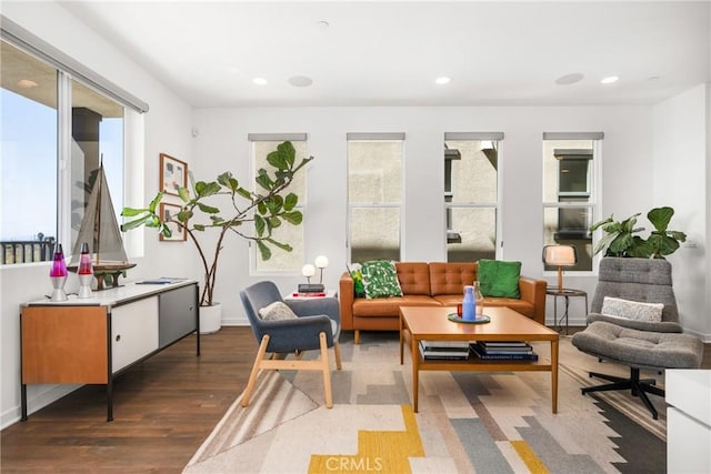 living area featuring dark wood-type flooring