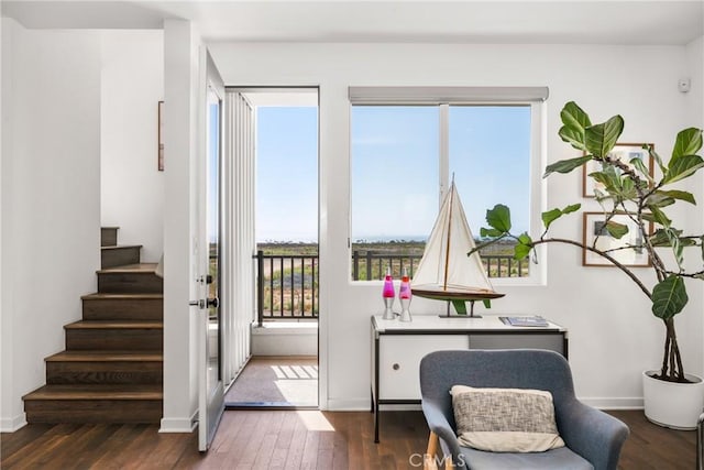 doorway to outside with plenty of natural light and dark wood-type flooring