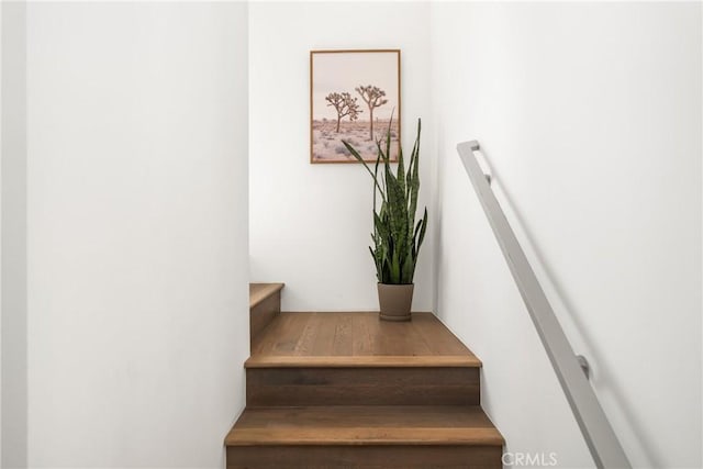 staircase featuring wood-type flooring