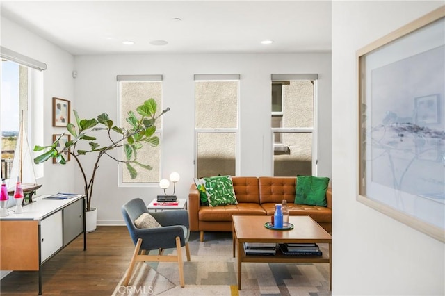 living area with dark wood-type flooring