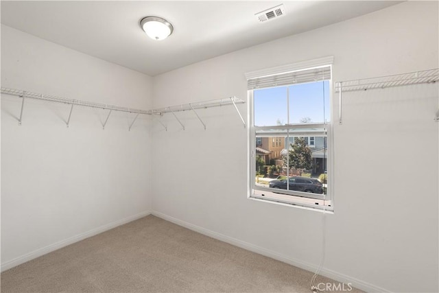 walk in closet with carpet flooring