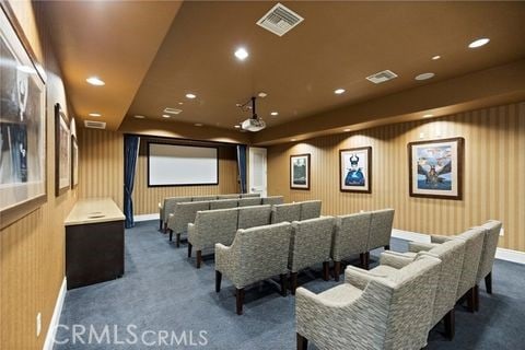 home theater room with dark carpet