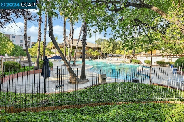 view of pool with a patio