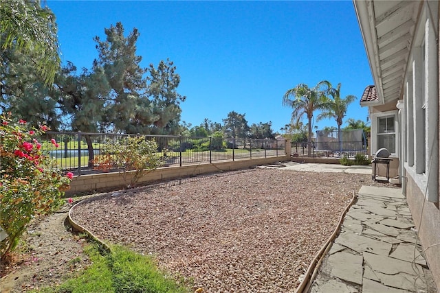 view of yard featuring a patio and a trampoline