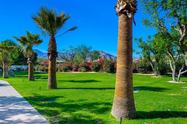 surrounding community with a mountain view and a lawn