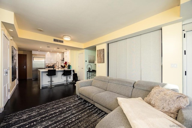 living room featuring sink and dark wood-type flooring