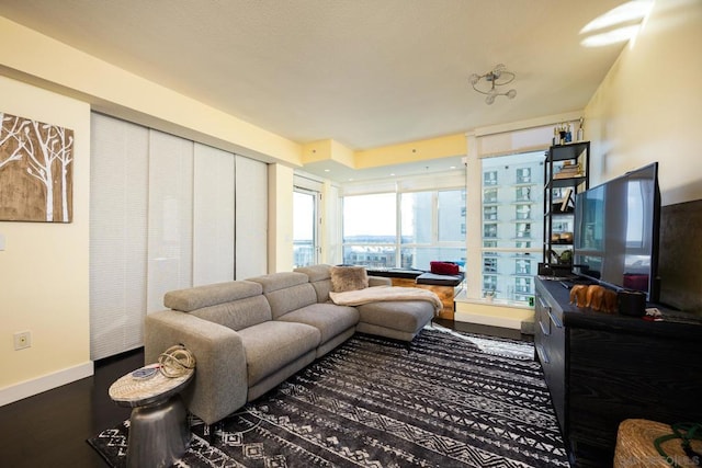 living room with dark hardwood / wood-style flooring