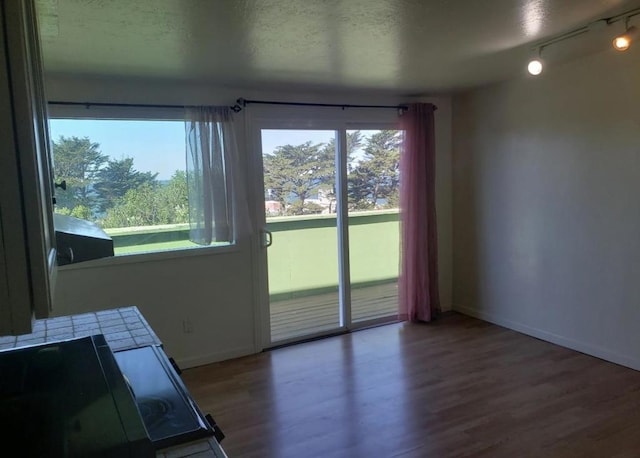 interior space featuring hardwood / wood-style flooring, a textured ceiling, and plenty of natural light