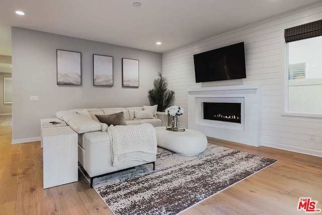 living room with a fireplace and wood-type flooring