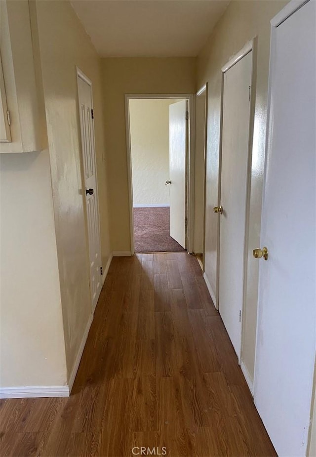 hallway featuring dark wood-type flooring