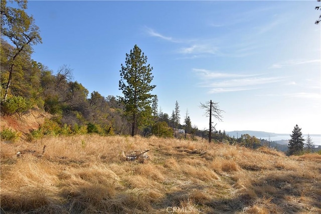 Listing photo 3 for 0 Canyon Creek Rd, Berry Creek CA 95966