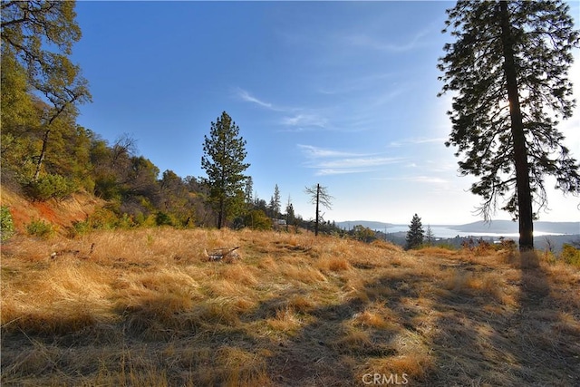 Listing photo 2 for 0 Canyon Creek Rd, Berry Creek CA 95966