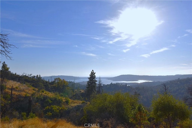 0 Canyon Creek Rd, Berry Creek CA, 95966 land for sale