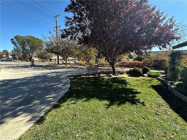 view of street