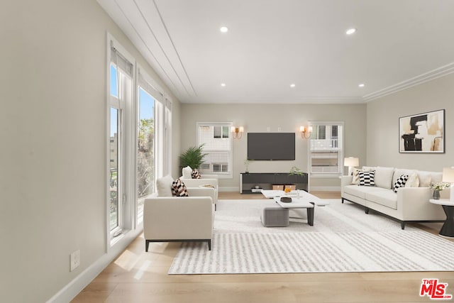 living room featuring light hardwood / wood-style floors