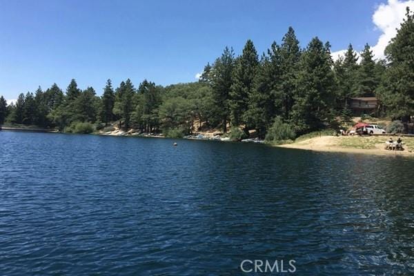 33544 Green Valley Lake Rd, Green Valley Lake, CA 92341 - water view