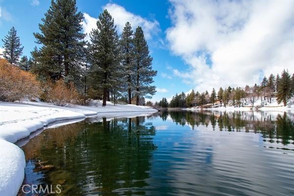 33544 Green Valley Lake Rd, Green Valley Lake, CA 92341 - water view