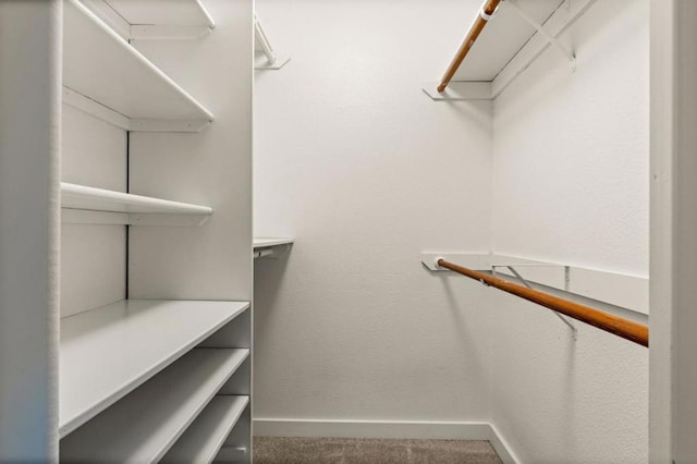 spacious closet with carpet