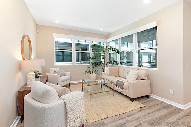 living room with light hardwood / wood-style flooring