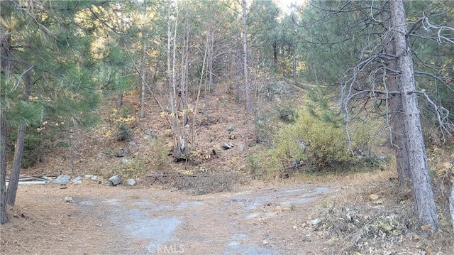 Listing photo 3 for 0 Water Dr, Crestline CA 92325