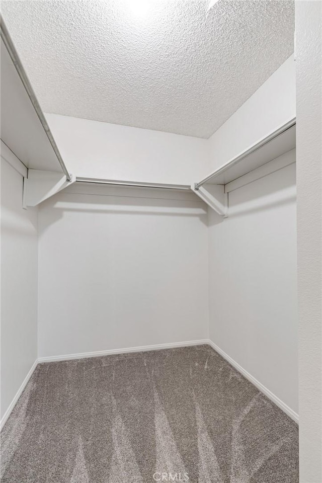 walk in closet with carpet