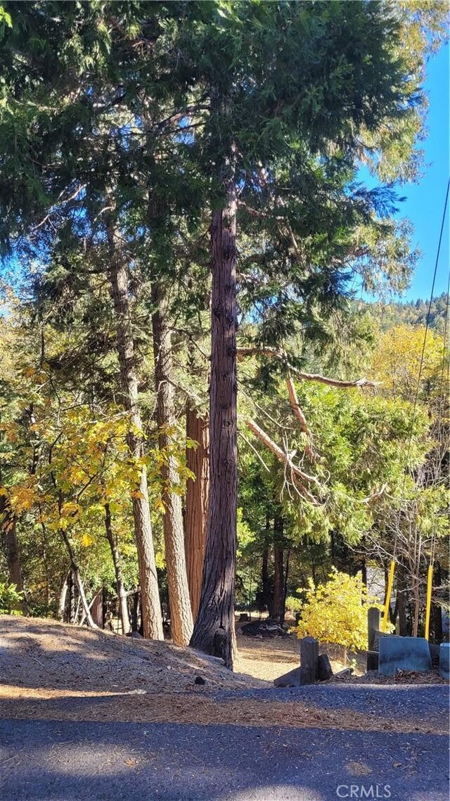 0 Valle Dr, Crestline, CA 92325 - photo 5