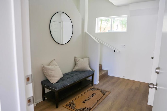 living area featuring light hardwood / wood-style flooring