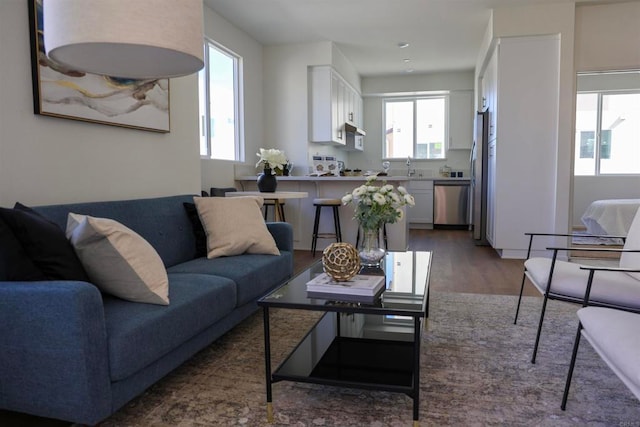 living room featuring dark hardwood / wood-style floors and sink