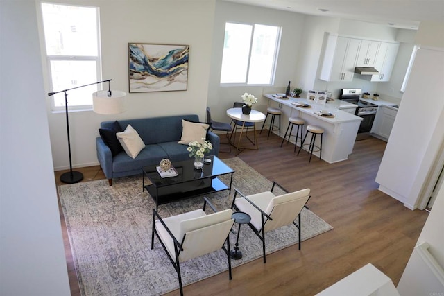 living room with a healthy amount of sunlight and light wood-type flooring