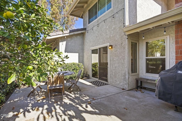 view of patio / terrace with a grill