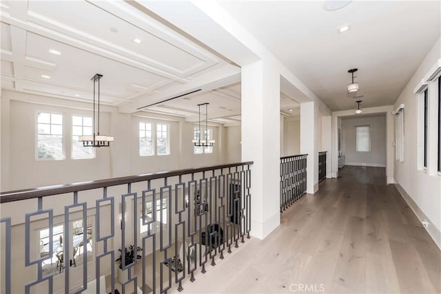 hall featuring a healthy amount of sunlight and hardwood / wood-style flooring