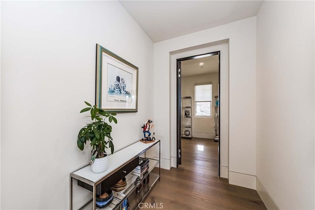 hall featuring dark hardwood / wood-style floors