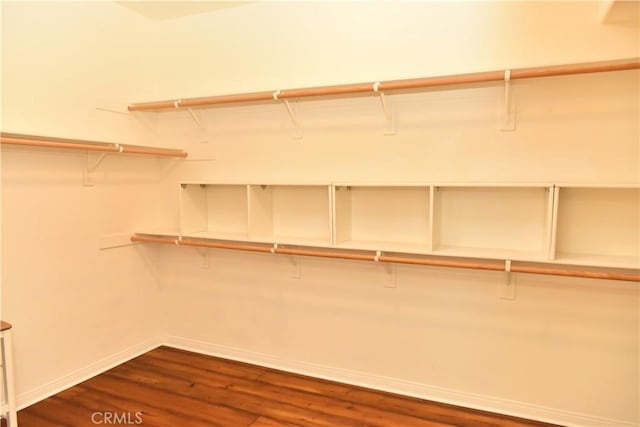 spacious closet with dark wood-type flooring