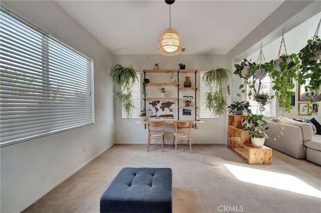 sitting room featuring light carpet