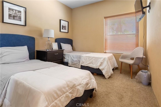 bedroom with carpet floors