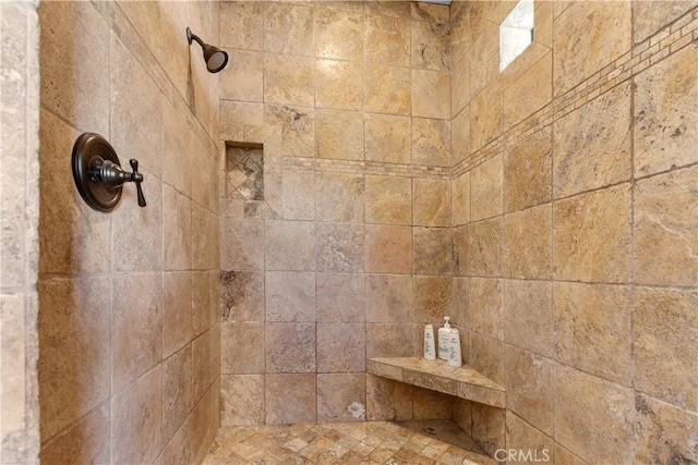 interior details with tiled shower