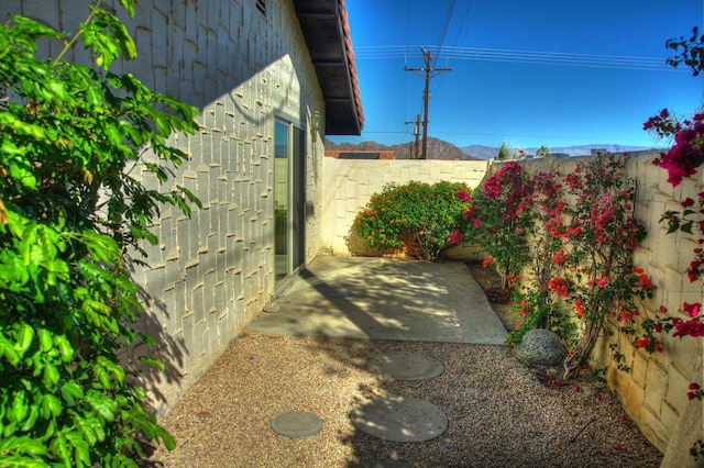 view of yard featuring a patio