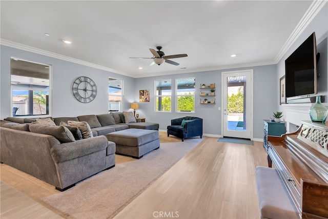 living room with ceiling fan, light hardwood / wood-style floors, and crown molding