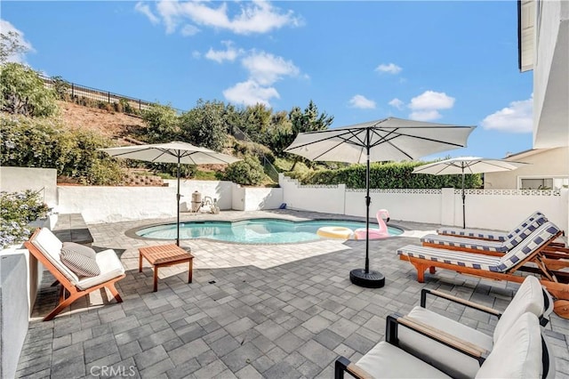 view of swimming pool featuring a patio