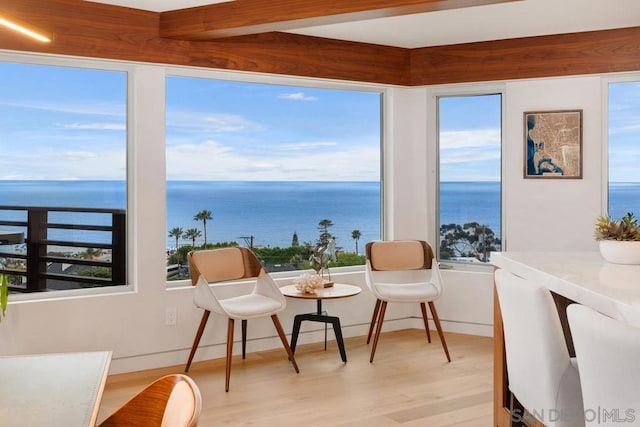 sitting room featuring light wood-type flooring, a water view, and a healthy amount of sunlight