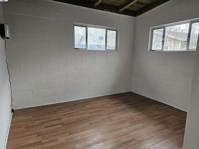 basement with hardwood / wood-style floors