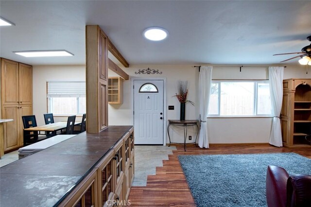 foyer entrance featuring ceiling fan, a wealth of natural light, and light hardwood / wood-style floors