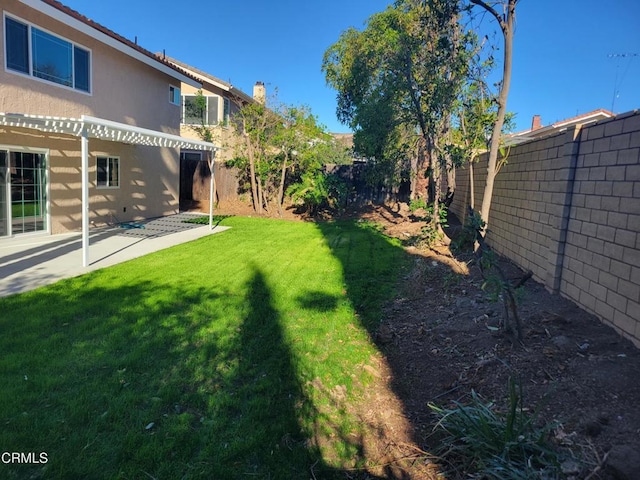 view of yard with a patio area